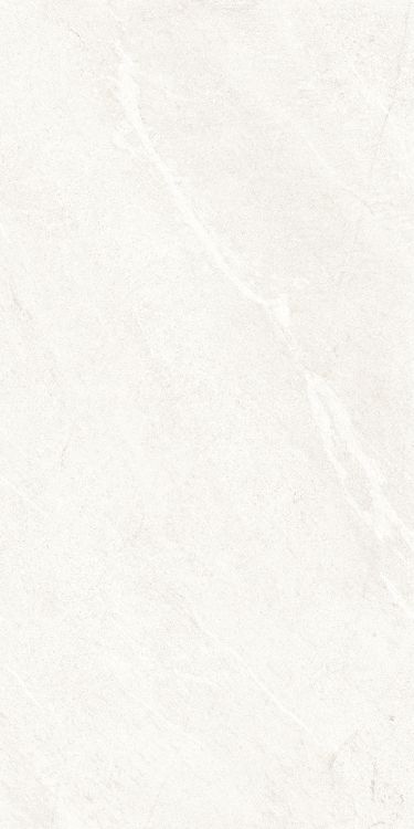 Dhara White Matte 24 x 48